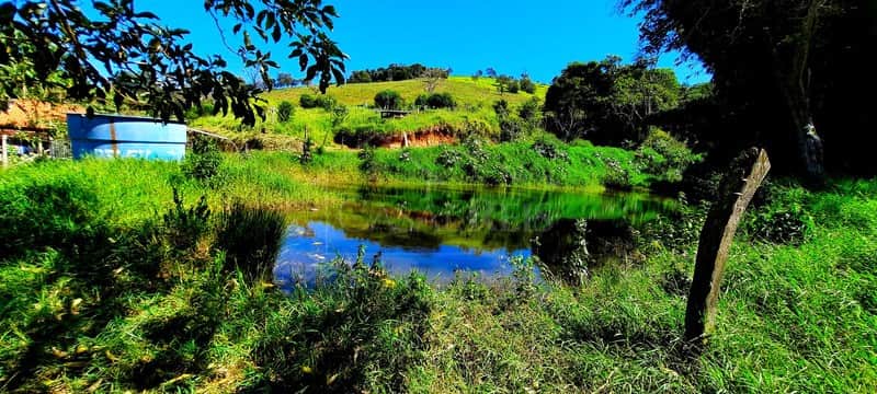 Sítio 24,2 ha à venda em Área Rural, Caldas