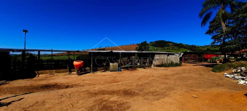 Área externa de faz