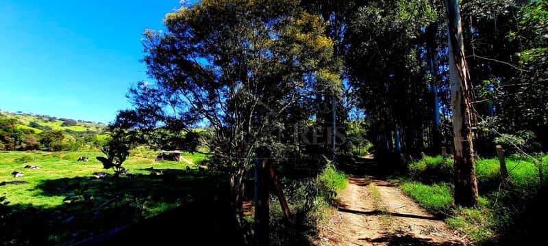 Cenário rural com past