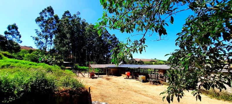 Área externa