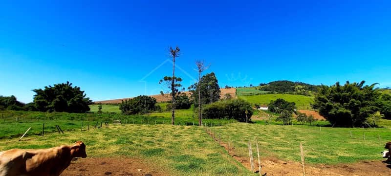 Área externa rural com vast
