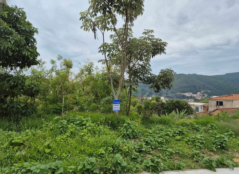 Terreno à venda com vegetação e vista para montanhas. Placa de imobiliária visível.