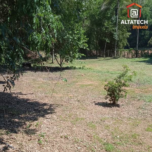 Ampla área externa com gramado seco e árvores. Terreno ensolarado com vegetação rústica.