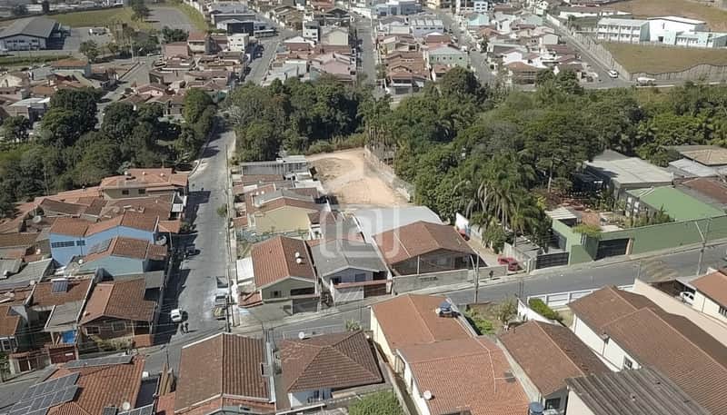 Vista aérea de casas com telhados marrons e rua arborizada. Destaque para terreno baldio e construções ao fundo.