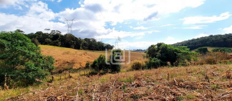 Área externa rural ensolarada com pasto seco, árvores e torres de energia. Paisagem campestre.
