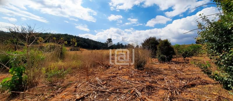 Área externa com vegetação rasteira e árvores ao fundo sob céu azul com nuvens.