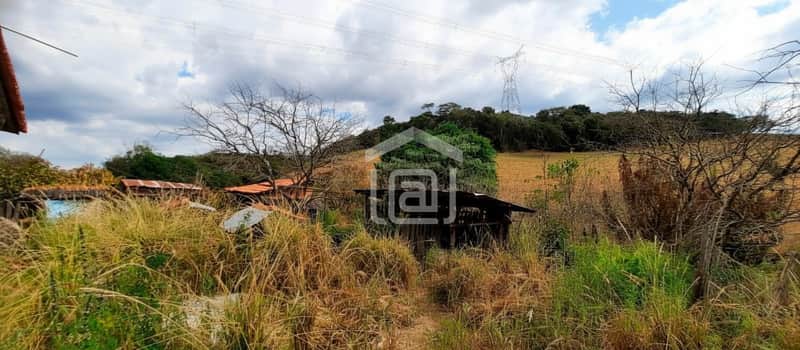 Área externa com vegetação densa, construção rústica em madeira e telhado avermelhado ao fundo.