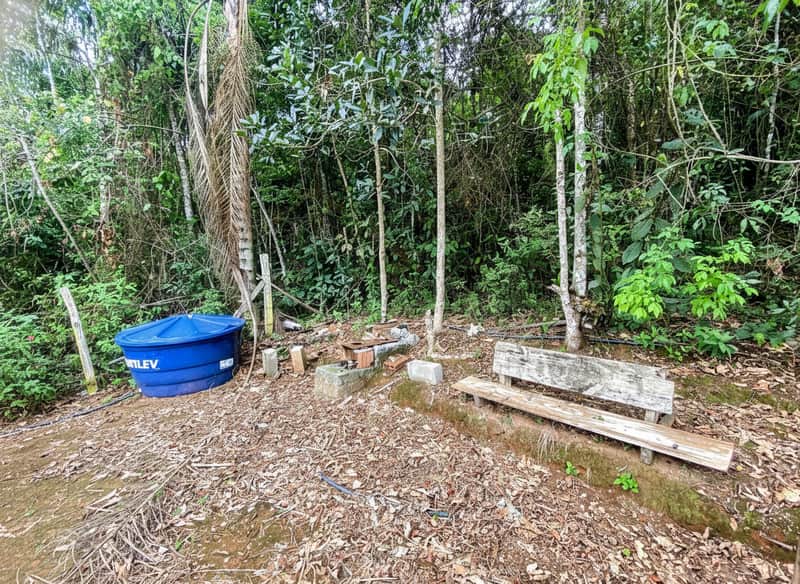 Área externa com banco de madeira rústico, tanque azul e vegetação densa. Tranquilidade em meio à natureza.
