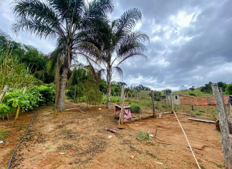 Área externa com palmeiras, cerca de madeira e construção ao fundo, sob céu nublado.