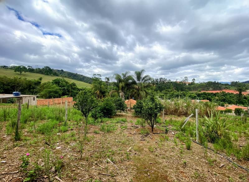 Terreno com vegetação, árvores e casas ao fundo sob céu nublado. Área externa.