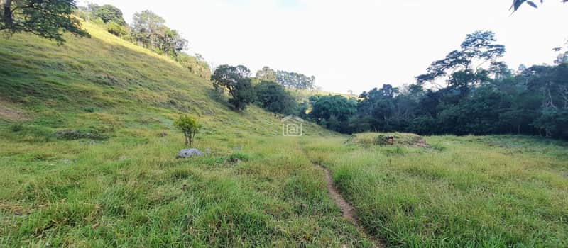 Área externa com gramado verde, morro gramado ao fundo e árvores. Natureza exuberante.