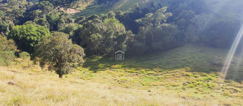 Área externa com gramado, árvores e vegetação. Terreno rural ensolarado com vista para a natureza.