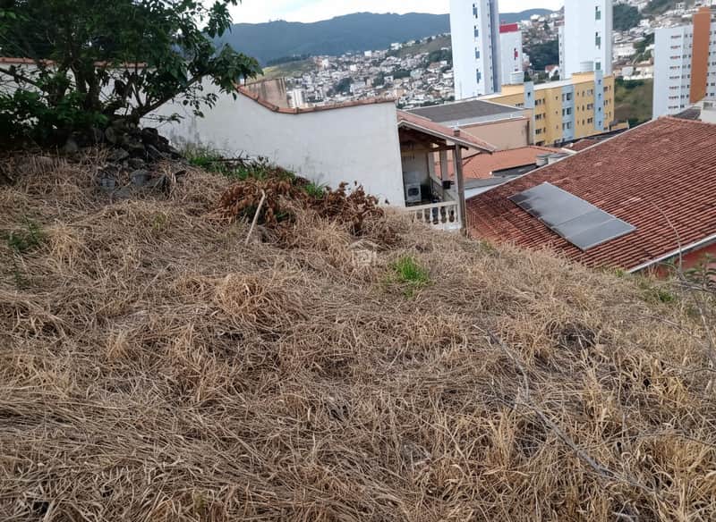 Terreno baldio com vegetação seca em declive, casas e prédios ao fundo. Área externa com potencial construtivo.