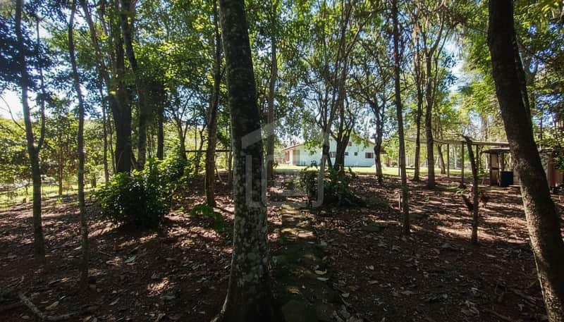 Área externa arborizada com casa ao fundo. Caminho de pedras e vegetação densa. Tranquilidade e natureza.