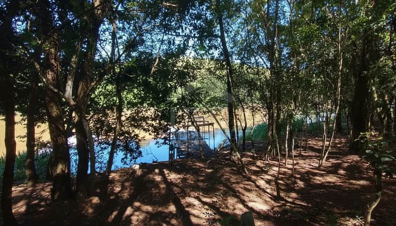 Área externa arborizada com rio e píer de madeira. Sombras das árvores no chão.