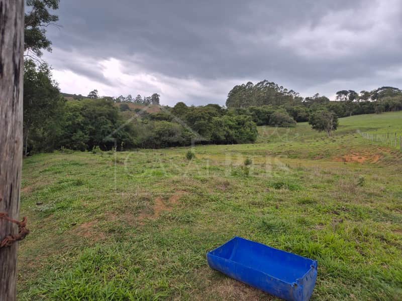 Área externa com campo verde