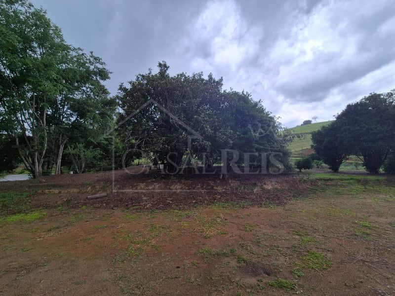 Área externa com árv