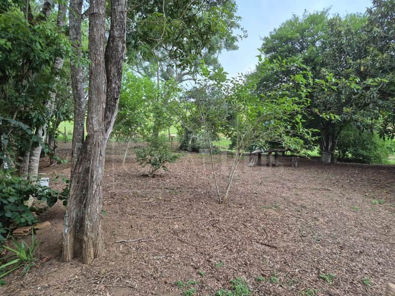 Área externa arborizada