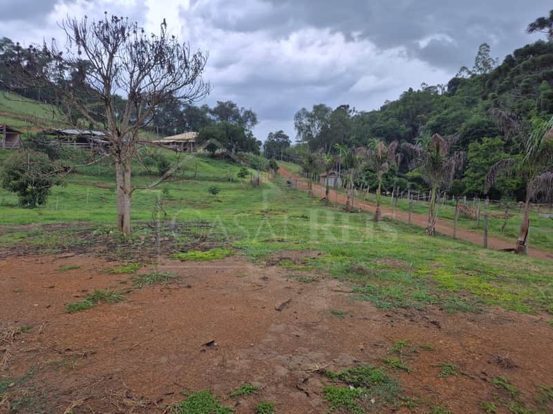 Área externa rural com caminho