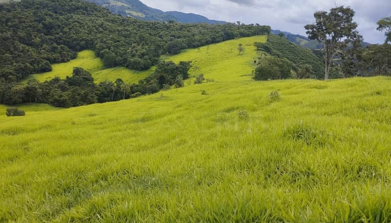 Paisagem rural com gramado verde e montanhas ao fundo. Natureza exuberante.