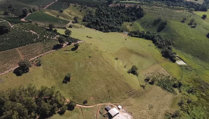Vista aérea de fazenda com plantação, pasto verde e construção. Paisagem rural ensolarada.