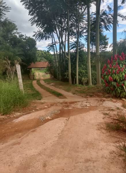 Área externa com estrada de terra, vegetação e árvores altas. Construção com telhado rústico ao fundo.