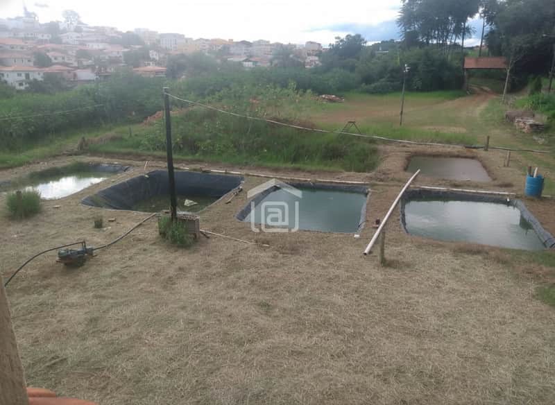 Área externa com tanques de peixes, gramado seco e vegetação ao fundo. Construções ao longe.