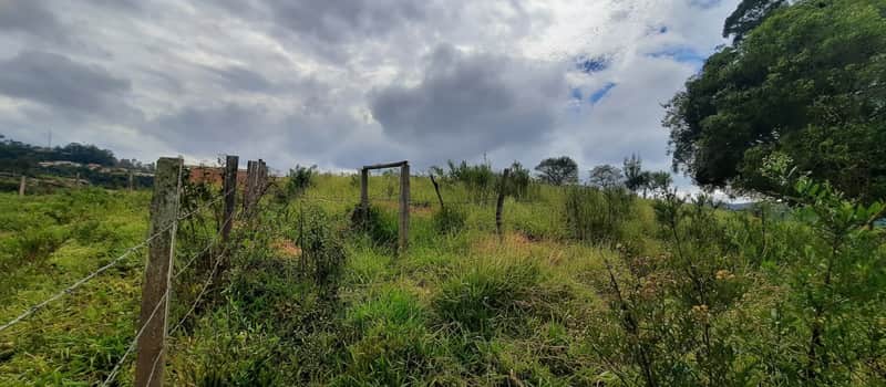 Área externa com cerca de arame, vegetação rasteira e árvores ao fundo sob céu nublado.