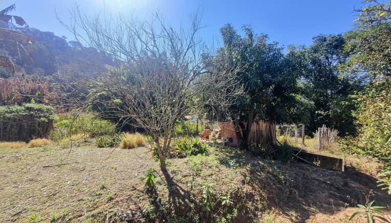 Área externa ensolarada com vegetação, árvores e construção rústica ao fundo. Terreno irregular e seco.