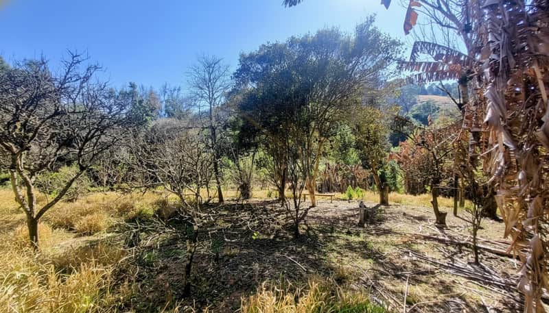 Área externa ensolarada com árvores, vegetação seca e vista para colinas. Ambiente natural e tranquilo.