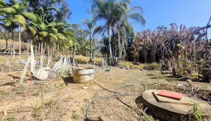 Área externa com vegetação tropical, tanque de água e estrutura rústica. Céu azul.