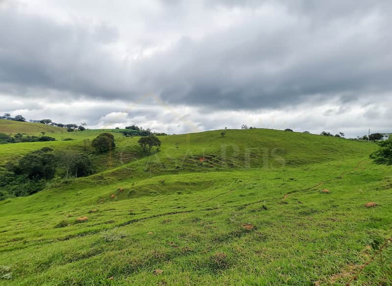 Paisagem rural com colinas verdejantes sob céu nublado. Natureza exuberante e tranquila.