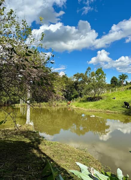 Área externa com lago, pasto verde e céu azul com nuvens. Vacas pastando ao fundo.