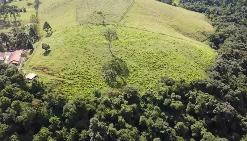 Área externa com colina verde, árvores e casa. Paisagem natural exuberante e tranquila.