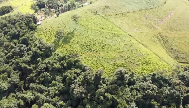Paisagem rural com morro verde e mata densa. Natureza exuberante, campo aberto e vegetação nativa.
