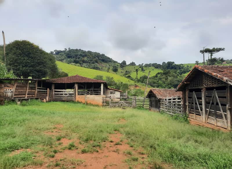 Área externa rural com construções rústicas de madeira e pasto verde, sob céu nublado.