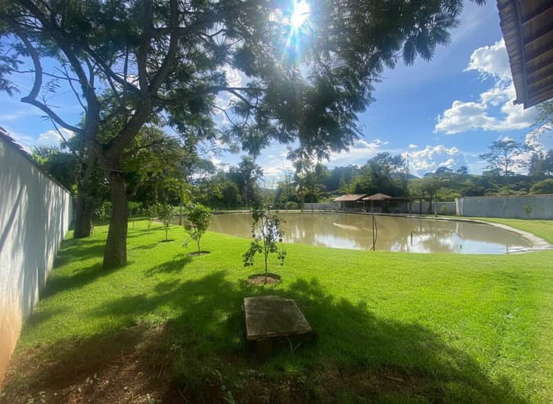 Área externa ensolarada com lago, gramado verde e árvores. Tranquilidade e beleza natural.