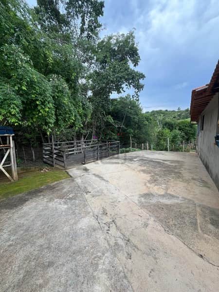 Área externa ampla com piso de concreto, curral de madeira e vegetação ao fundo.