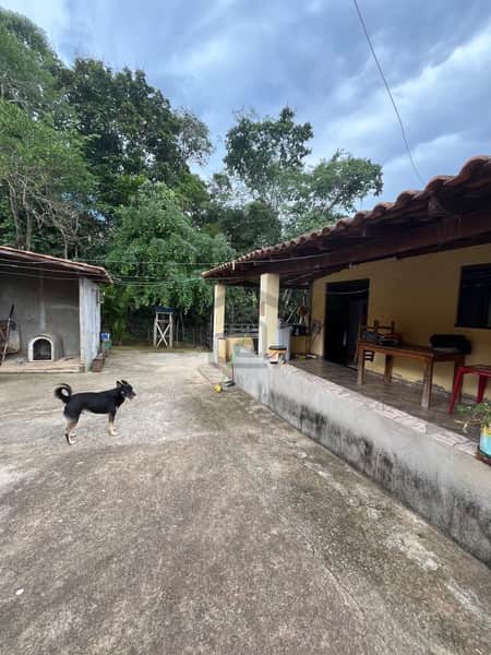 Área externa com casa amarela, varanda, piso de concreto e um cachorro preto. Céu nublado e vegetação ao fundo.